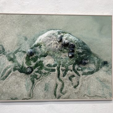 Kees Hordijk over Traces des Marées